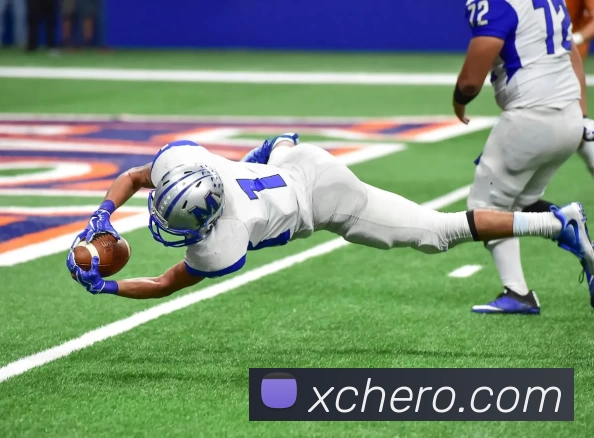 新城娱乐官网平台生态图