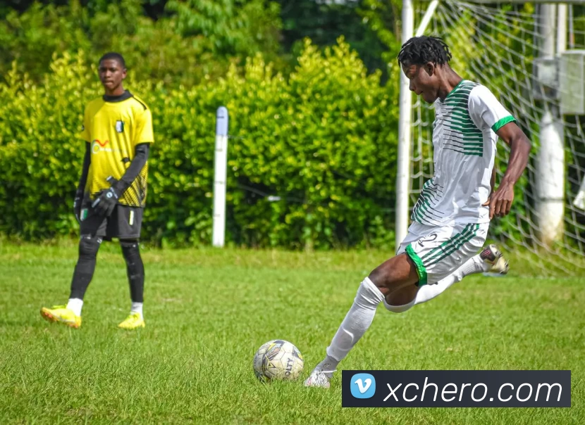 新城娱乐官网APP 封面图